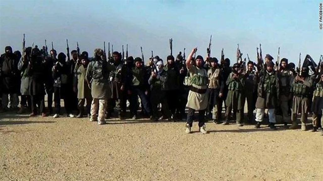 نائبة: واشنطن تدرب حاليا 8000 داعشي بسوريا لتنفيذ عمليات ارهابية في العراق