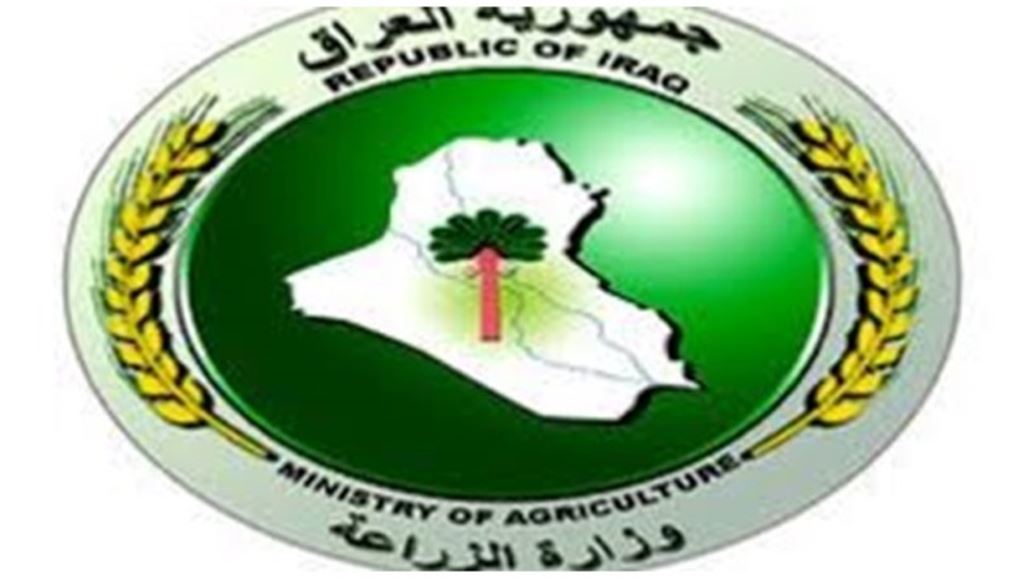 الزراعة ترد: لا علاقة للحوم المستوردة بفايروس الحمى النزفية