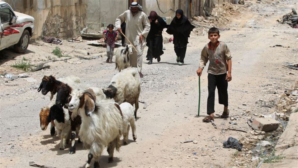 صحة البصرة تنفي تسجيل إصابات جديدة بالحمى النزفية