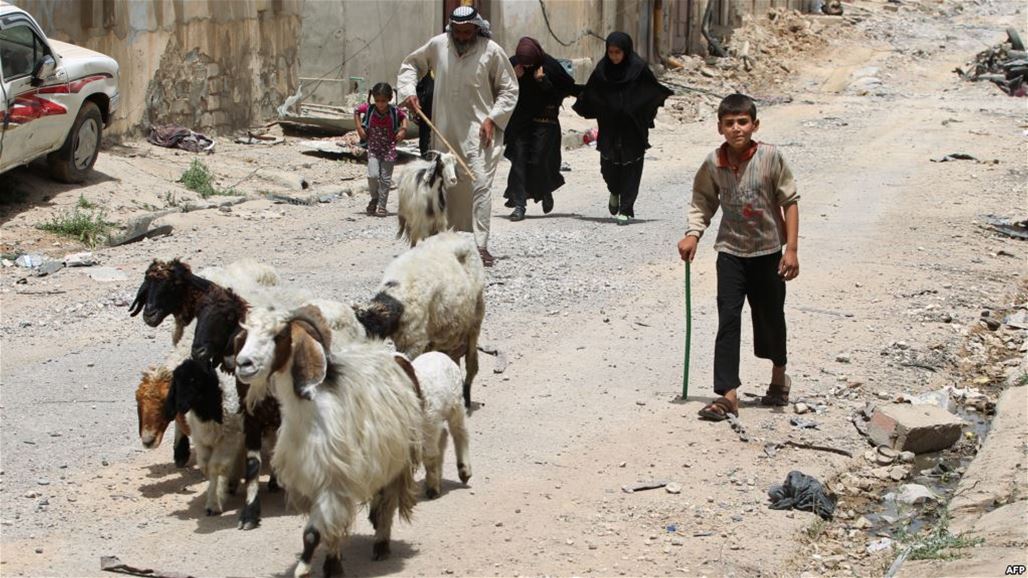 صحة ميسان تنفي وجود اصابات بالحمى النزفية في المحافظة