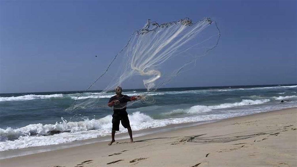 بالصورة: ظهور مفاجئ لدلفين على شاطئ رفح