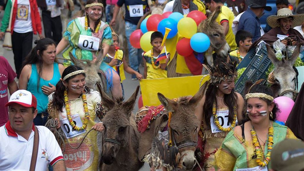 بالصّور: "أماسيخوس" تفوز بجائزة ملكة جمال الحمير في كولومبيا