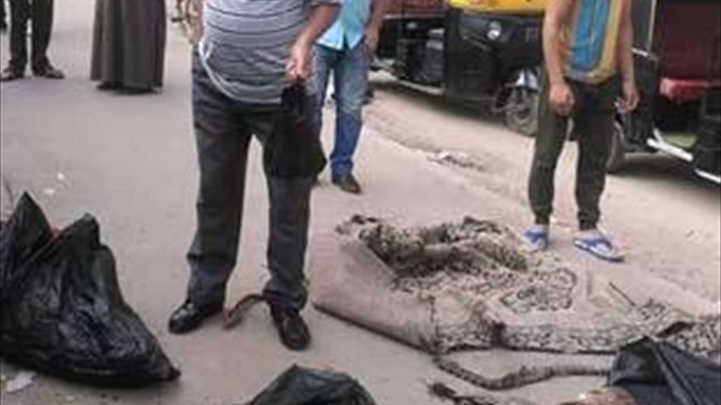 جريمة وحشية ضحاياها 3 أطفال قتلوا ذبحا في مصر