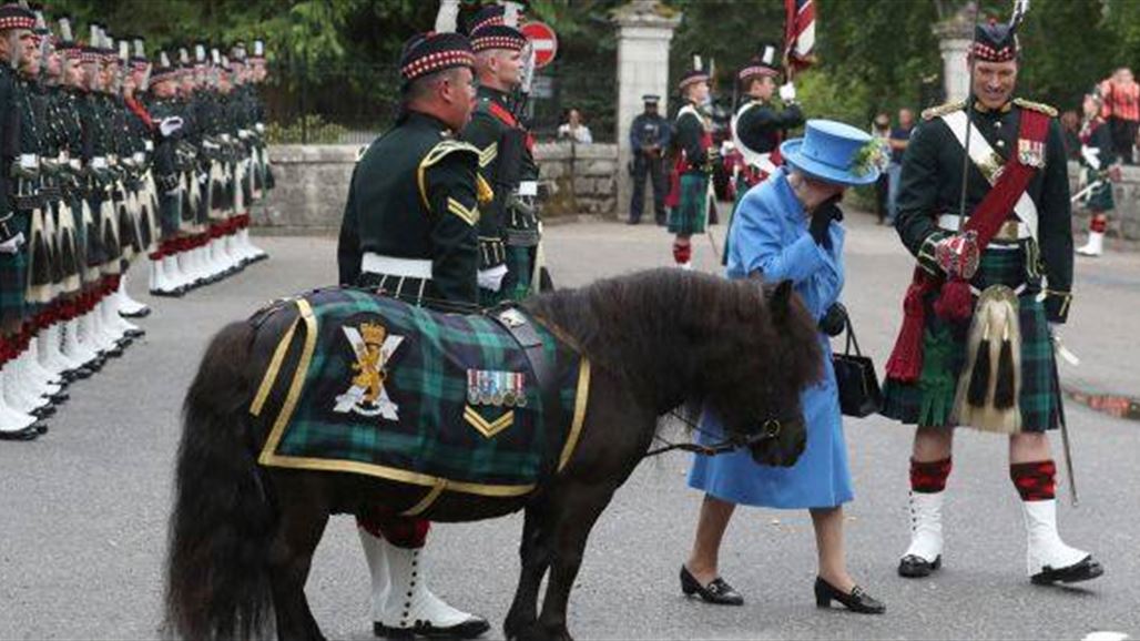 بالصور: حصان يتصرف بوقاحة أمام الملكة البريطانية!
