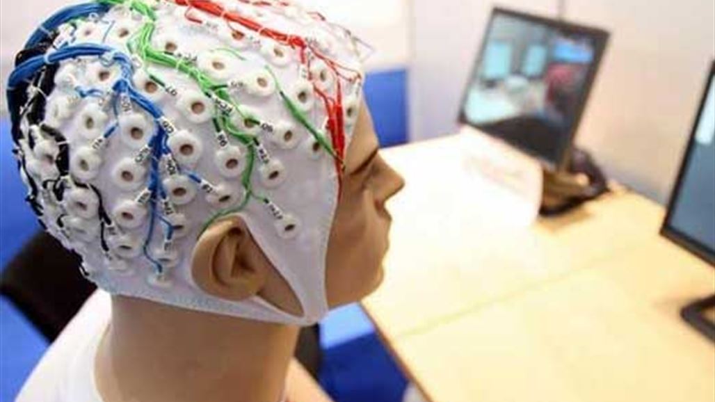 خلية "فريدة" بالمخ تميز الإنسان عن باقي الكائنات... ما هي؟