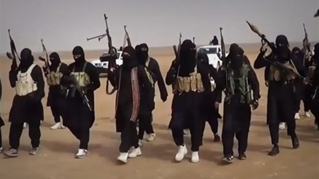 الكشف عن خطة سرية ألمانية لمكافحة "داعش"