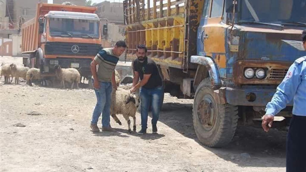 صحة ديالى تعلن وفاة احد ابناء المحافظة في بغداد بسبب الحمى النزفية