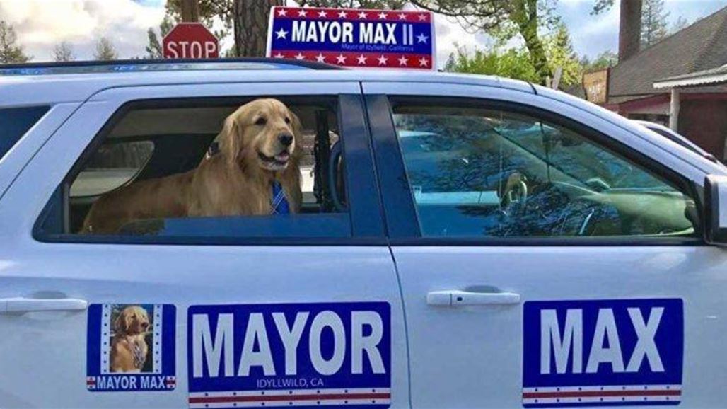 بالصّور: انتخاب كلب عمدة لمدينة أميركية