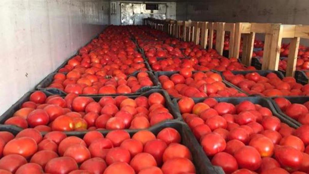 ارتفاع "مفاجئ" بأسعار الطماطم والزراعة تخلي مسؤوليتها