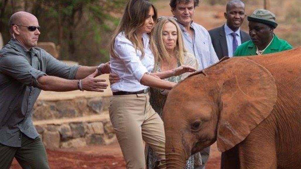  فيل يهاجم ترامب في كينيا