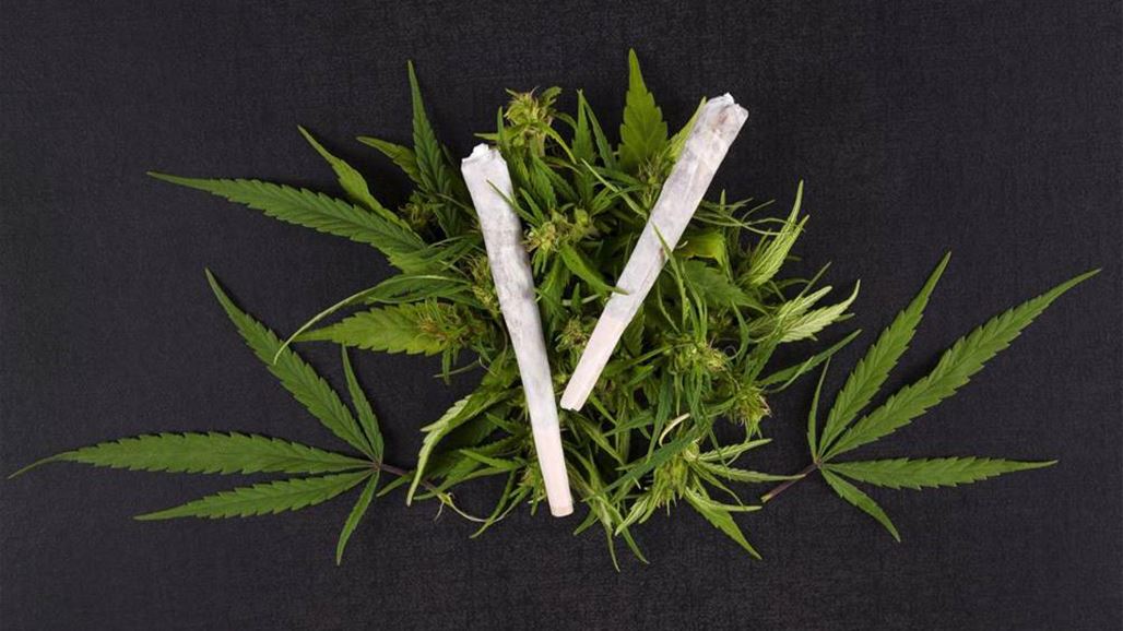 إحذروا الماريغوانا تهدد خصوبة الرجال!