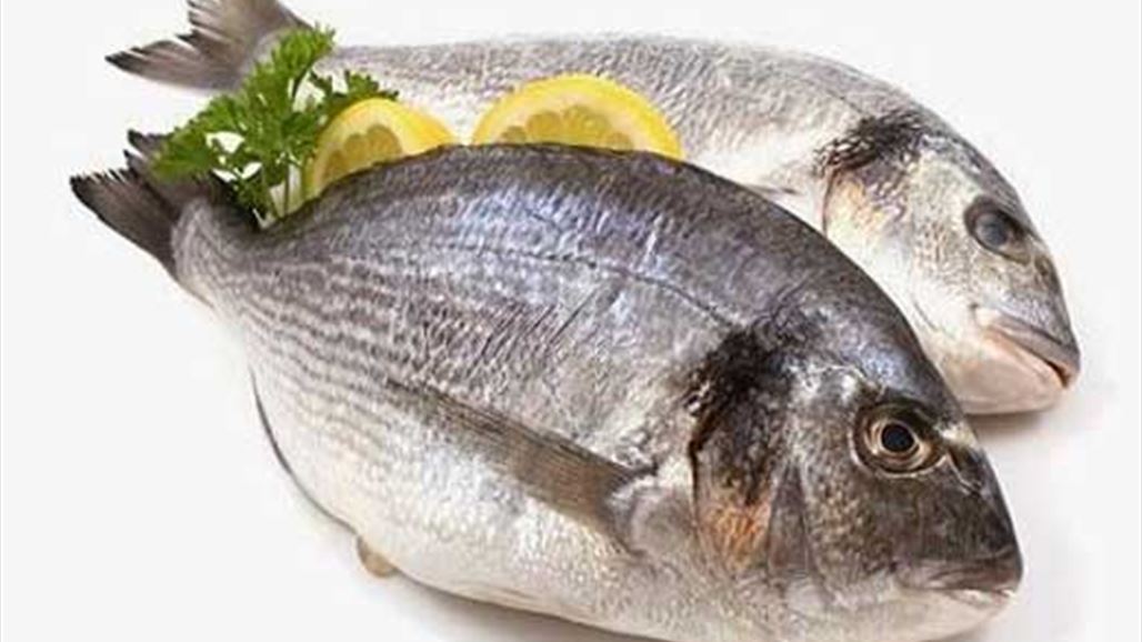 اكتشاف السمكة الأكثر فائدة للإنسان... هنا تعيش!