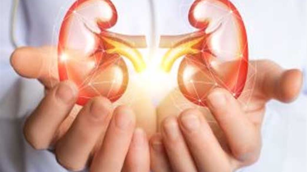 7 عادات سيئة تضر بصحة الكلى... ابتعد عنها وإلا!