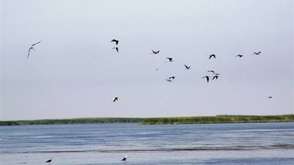 الكويت توجه مواطنيها المتواجدين في العراق بالالتزام بتعليمات الصيد