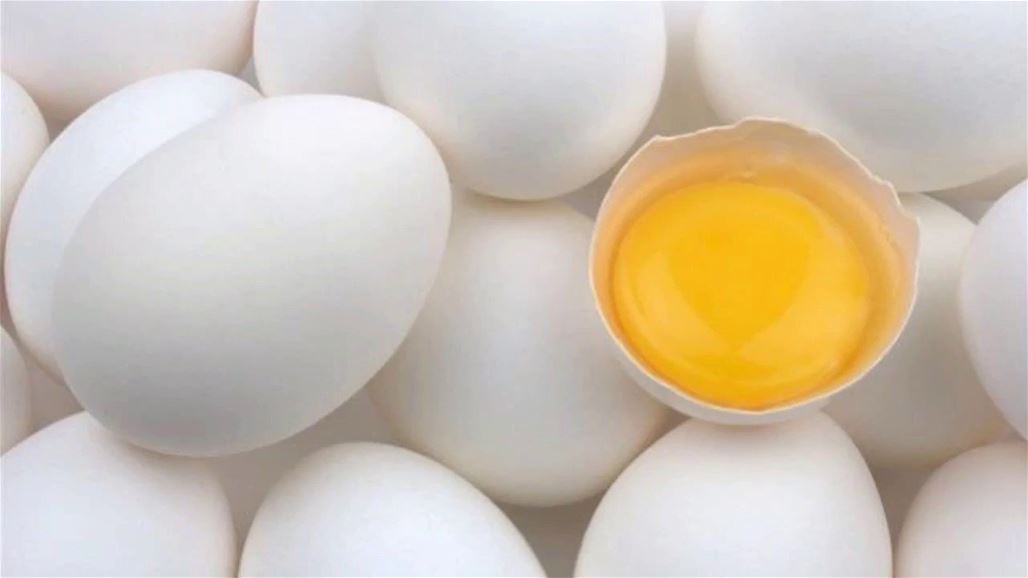 الزراعة: البيض الفاسد يدخل بطرق غير قانونية من منافذ حدودية ولاعلاقة لنا بذلك