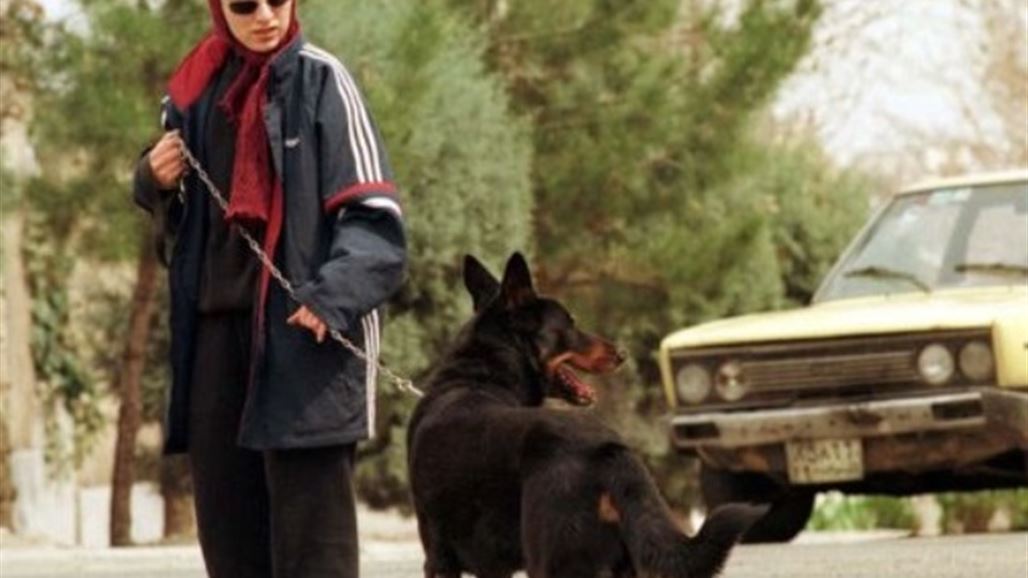 شرطة طهران تحظر التجول مع الكلاب في الاماكن العامة