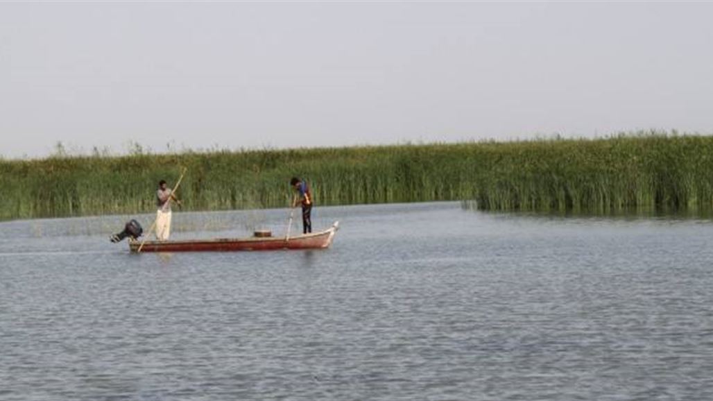 لجنة انعاش الأهوار بمجلس البصرة: لا خوف من حدوث انهيارات في سداد هور الحويزة