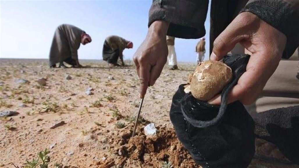 اطلاق سراح شقيقين من مختطفي النخيب ووالدهما يروي التفاصيل