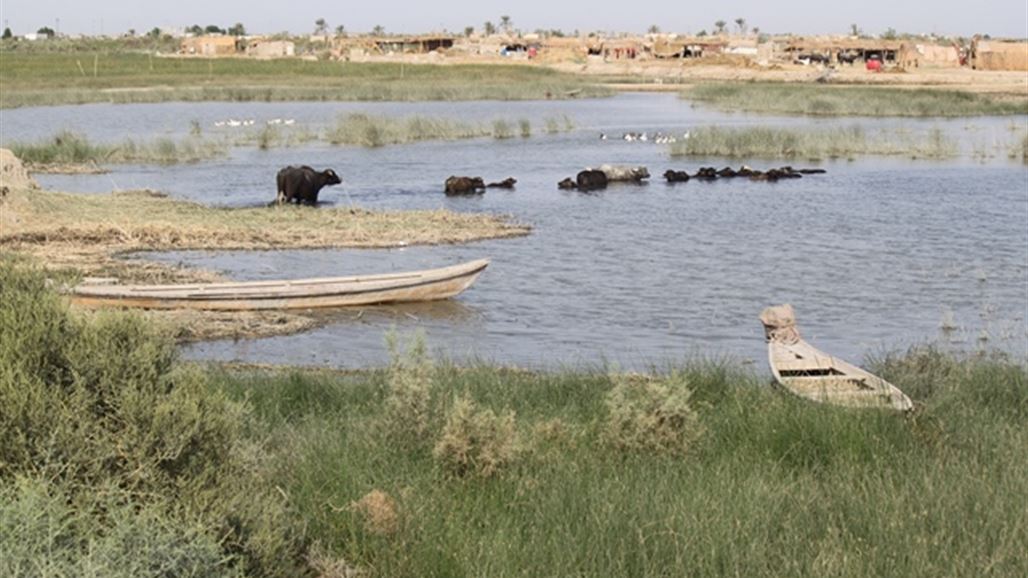 المياه تغمر محمية في البصرة للمرة الأولى منذ 11 عاماً