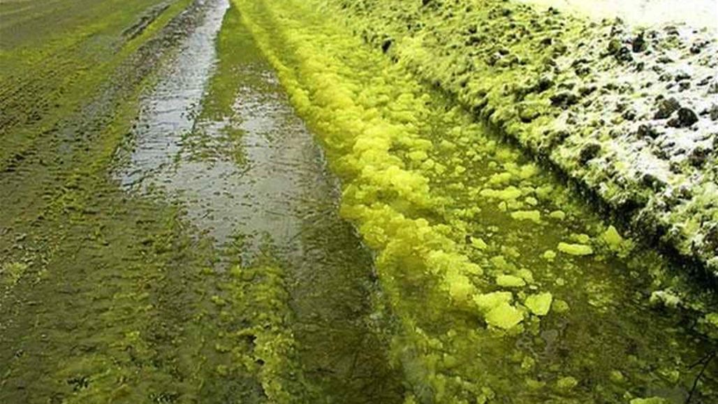بالصور: بعد الثلج الأسود... ثلوج خضراء تكتسح سيبيريا