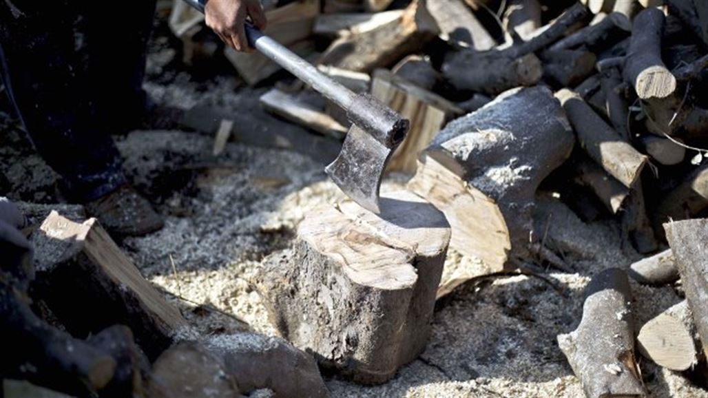 10 "مهن" ستنقرض بعد سنوات