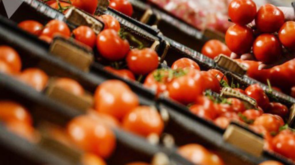 أسعار الطماطم تقفز والزراعة تستنجد بالمستورد