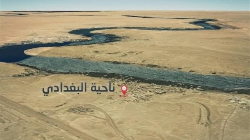 خنافس سوداء تهاجم البغدادي "صور"