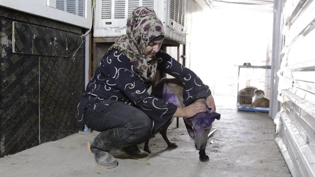 عراقية تهاجر تصميم الازياء وتلجأ الى تربية الحيوانات