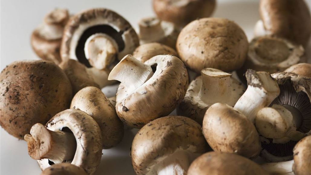 هل يحمي أكل الفطر من ضعف الذاكرة؟