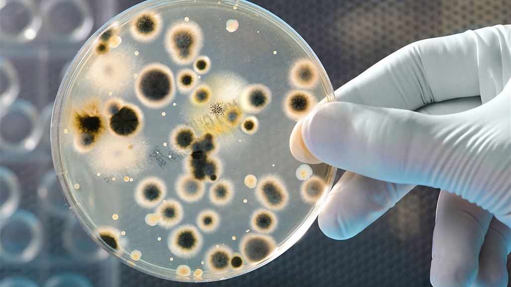 خلال 30 عاماً ستصبح البكتيريا مسبباً للوفاة أكثر من السرطان