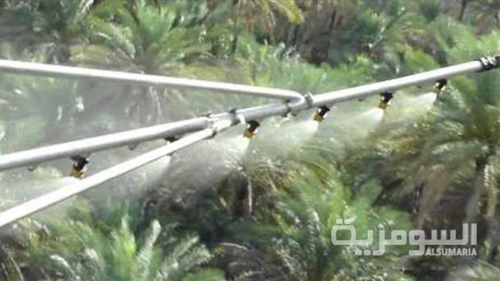 انطلاق حملة مكافحة حشرة الدوباس في بساتين نخيل ديالى