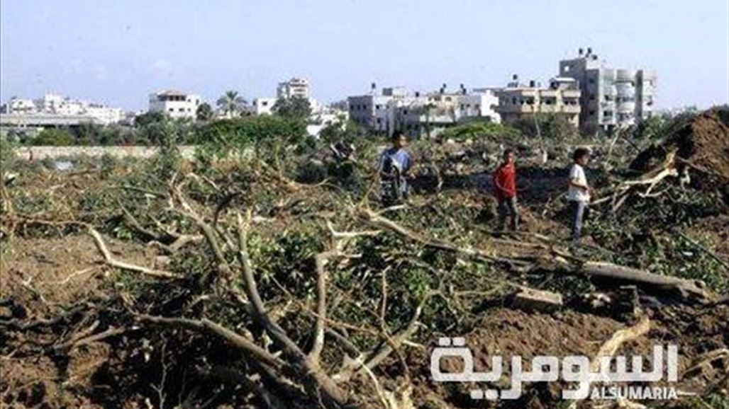تجريف البساتين لبيعها وقلة الاهتمام الحكومي يطيح بنخيل كربلاء