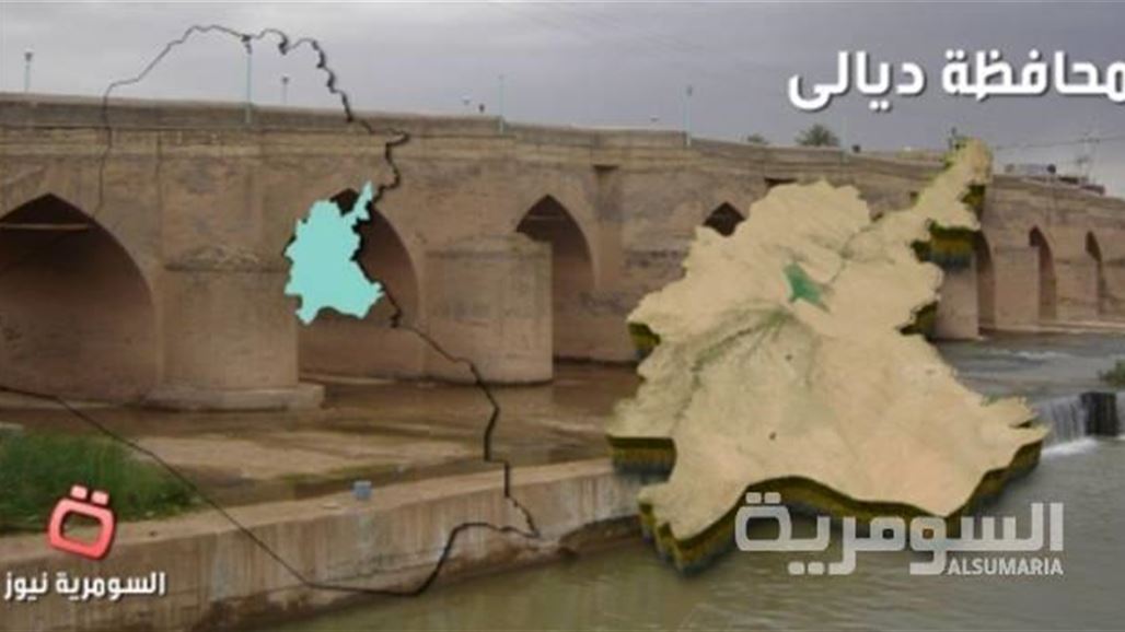 اعتقال مطلوبين اثنين احدهما بتهمة "الإرهاب" جنوب غربي بعقوبة