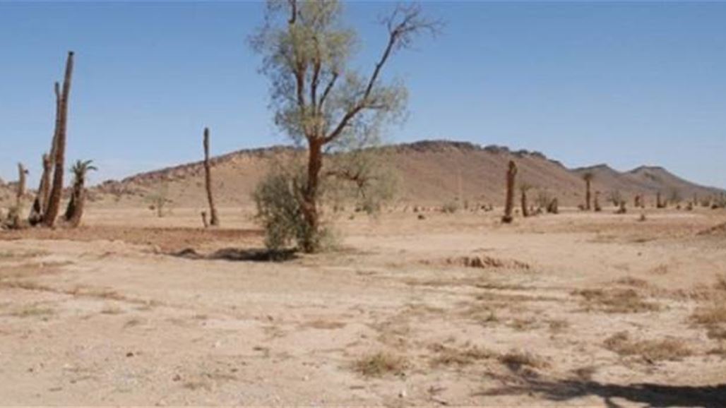 بيئة ديالى: 30% من الغطاء النباتي دمر خلال السنوات العشر الماضية