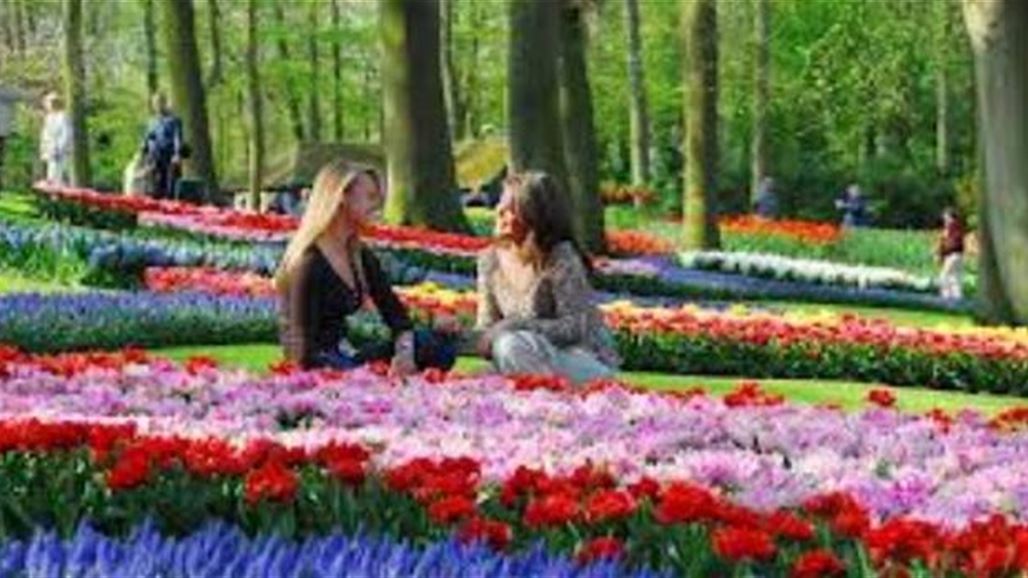 أمانة بغداد تعتزم زرع مليون زهرة هولندية في شوارع وحدائق العاصمة