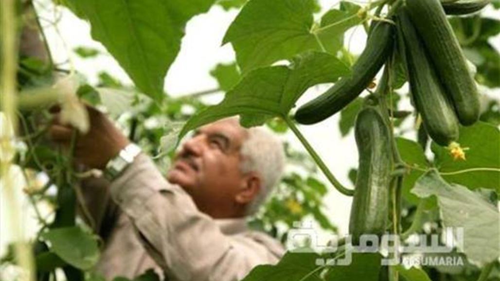 الزراعة تباشر تجهيز الفلاحين والمزارعين بالأسمدة
