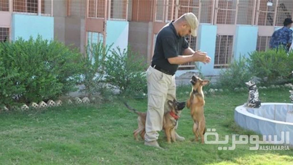 سبعة كلاب بوليسية تدخل الخدمة الأمنية في ديالى