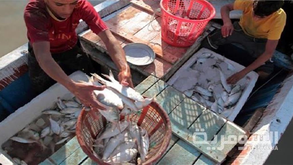 البيئة تغلق عددا من أقفاص تربية الأسماك وكراجات للغسل في بابل