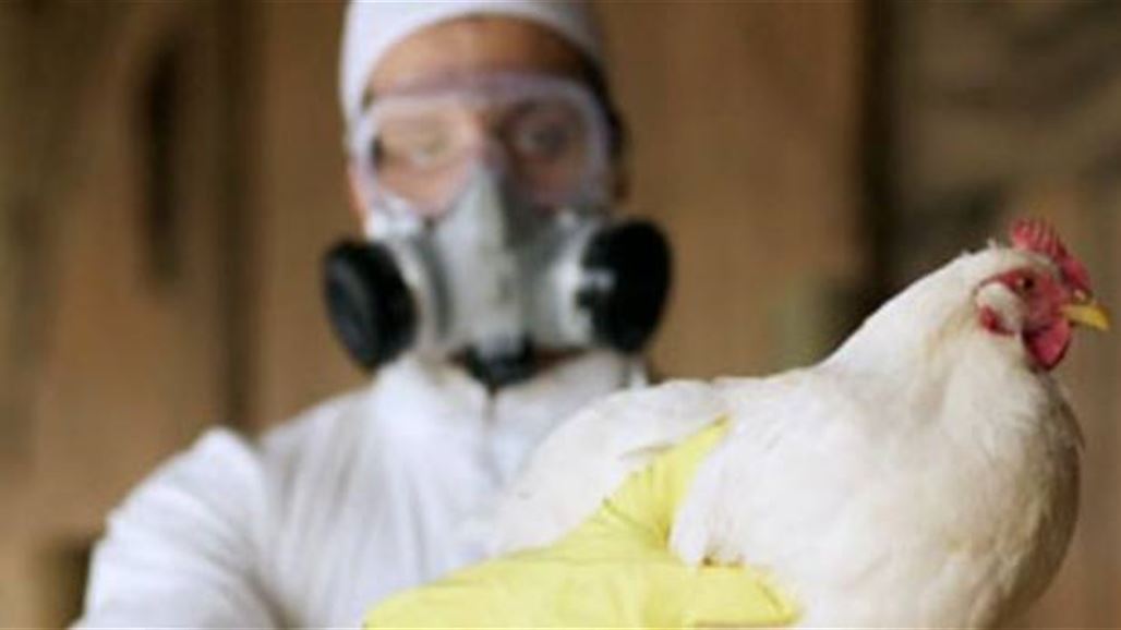 تسجيل أول حالة وفاة بانفلونزا الطيور في مصر