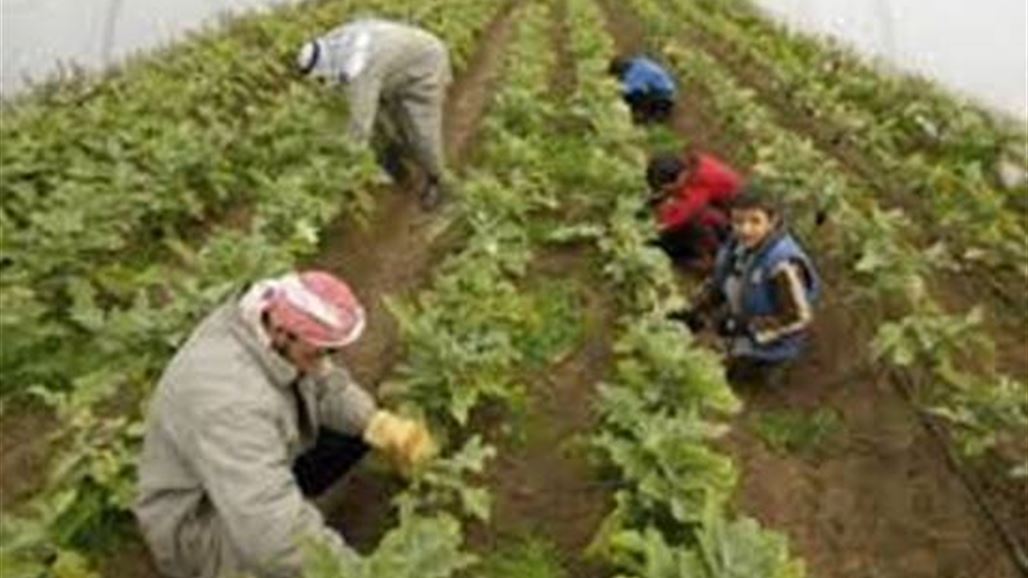 مزارعون في بابل يتهمون رئيس كتلة برلمانية بقطع مياه مزارعهم