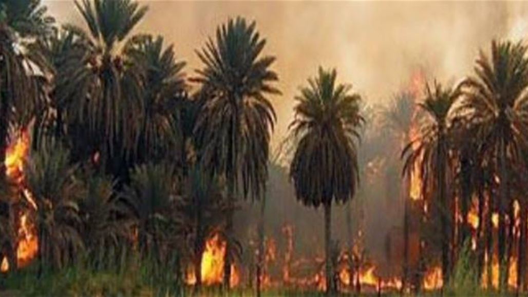 إخماد حريق التهم 15 دونماً من البساتين الزراعية جنوبي بعقوبة