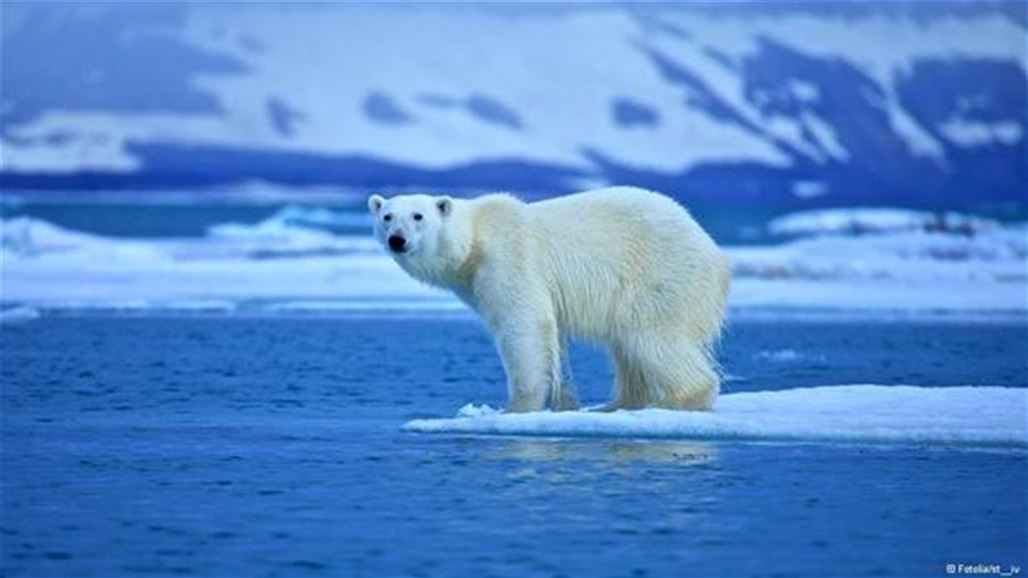 تقرير دولي: التغير المناخي يهدد مستقبل البشرية