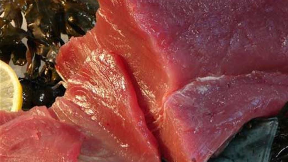 ما علاقة السمك في محاربة الاكتئاب؟