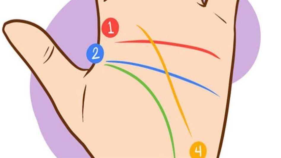 هل لديك الحرف M مرسوماً على راحة يدك؟ هذا ما يعني...