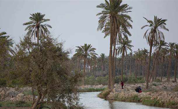 نشرة أخبار السومرية