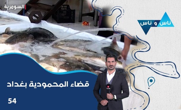 ناس وناس