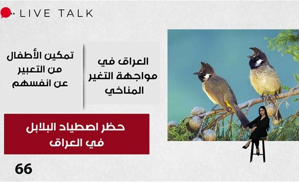 Live Talk