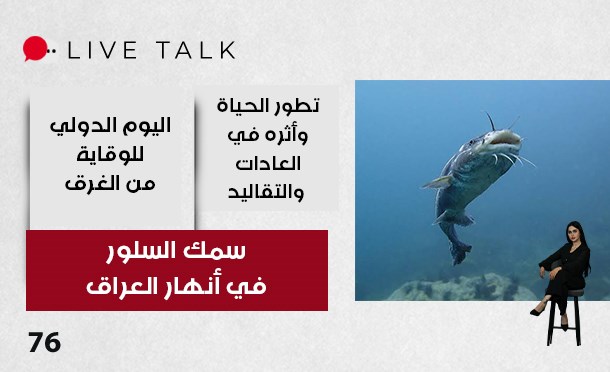 Live Talk