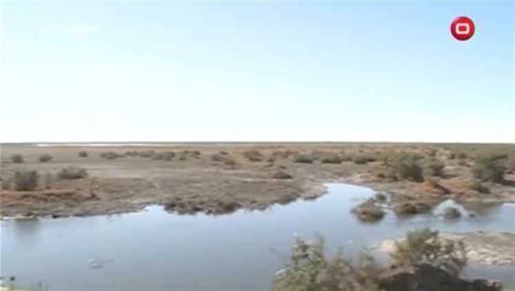 Alsumaria Episodes