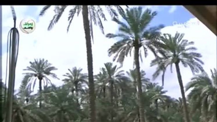 Alsumaria Episodes